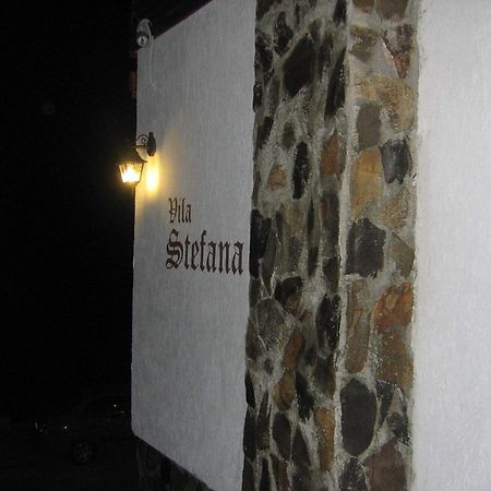 Vila Stefana Păltiniş 外观 照片