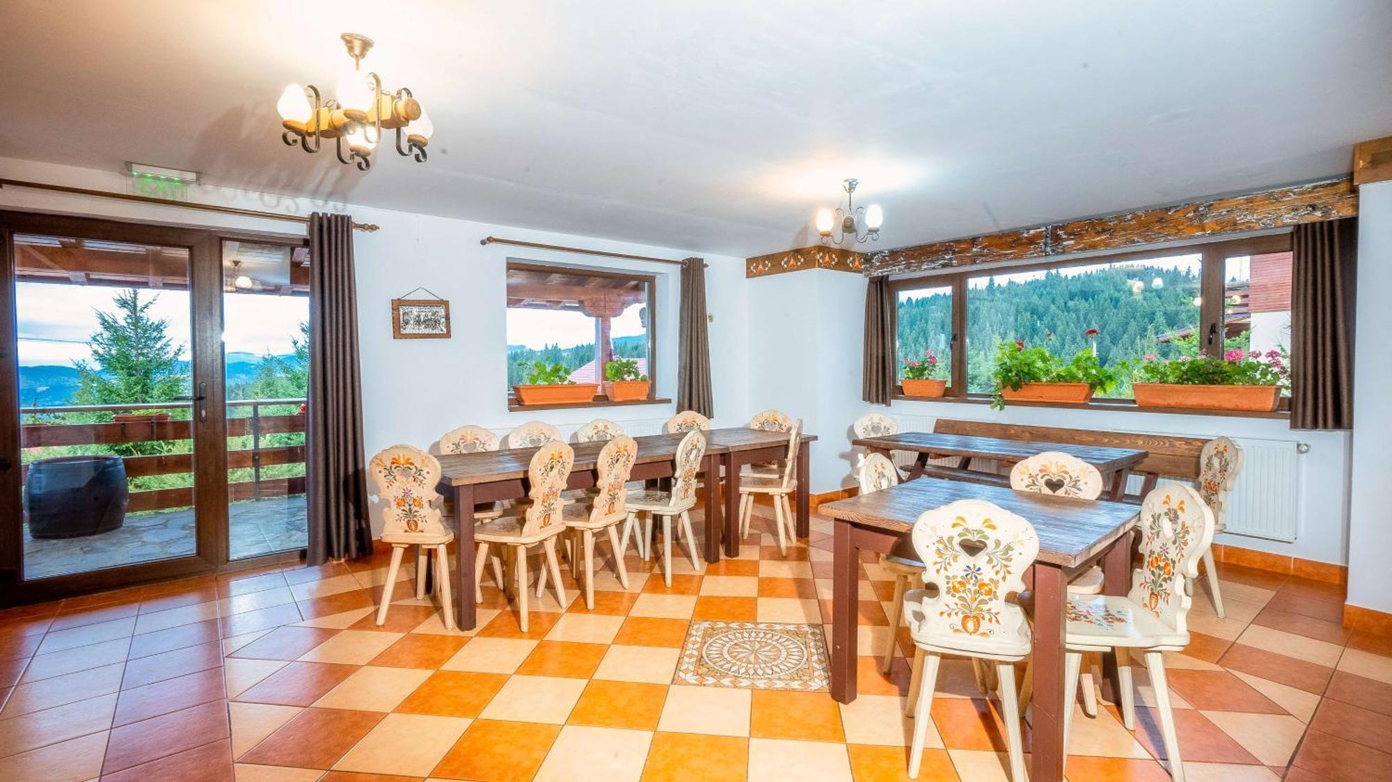 Vila Stefana Păltiniş 外观 照片