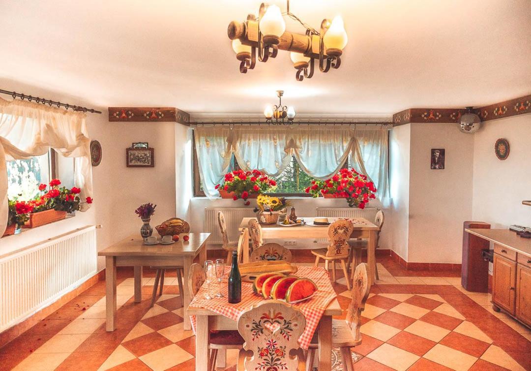 Vila Stefana Păltiniş 外观 照片