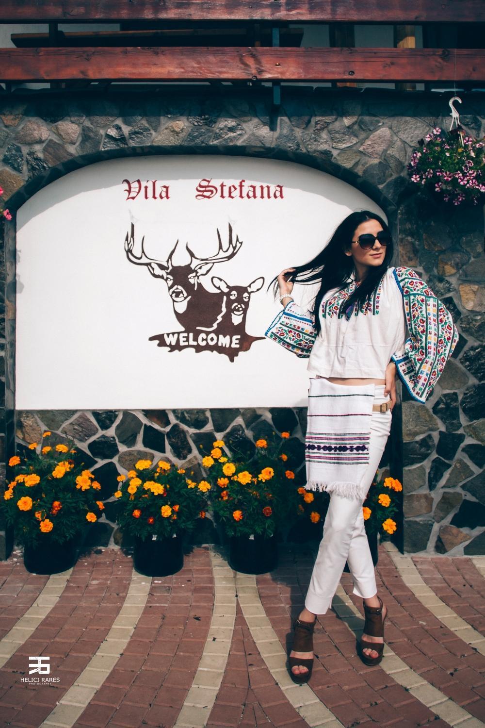 Vila Stefana Păltiniş 外观 照片